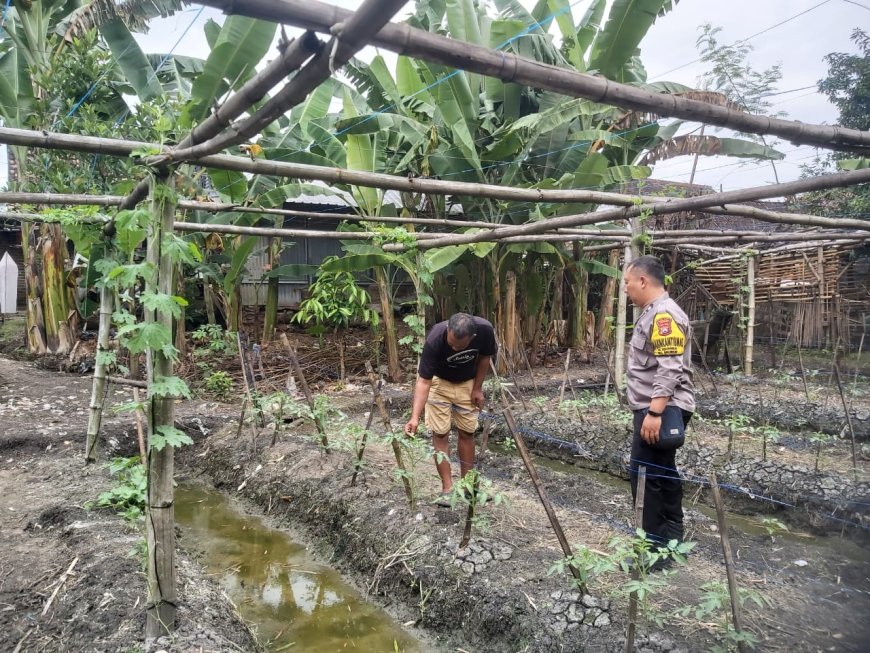Bhabinkamtibmas Desa Kedungrejo Aktif Sambangi Lahan Warga Dukung Program Ketahanan Pangan Nasional
